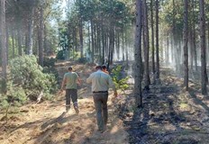 Пожарът който две денонощия бушуваше край пазарджишките села Лесичово и