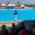 Софиянци спечелиха купата на турнира по водна топка в комплекс "Норд"