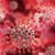 Учени: Шиповидният протеин на коронавируса уврежда клетките на сърцето
