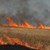 Пожар изпепели 600 декара пшеница в Тервелско