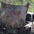 Кола изгоря до царевична нива в село Николово