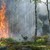 99% от горските пожари в Централна Северна България са в резултат на човешка дейност
