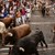 Еуфория, улични сблъсъци и прободени от бикове на фестивал в Навара