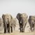 Диви слонове убиха петима души