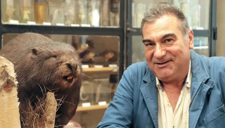 Над 20 хралупи на бобри са открити край Русенски Лом