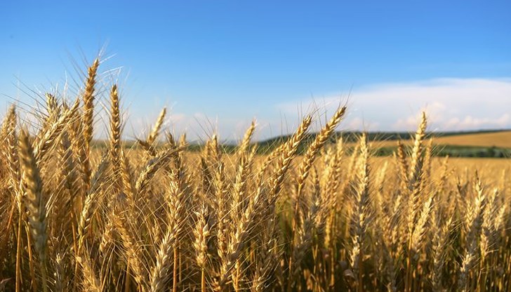 Русия и Украйна ще подпишат утре следобед в Истанбул споразумение за износ на зърно