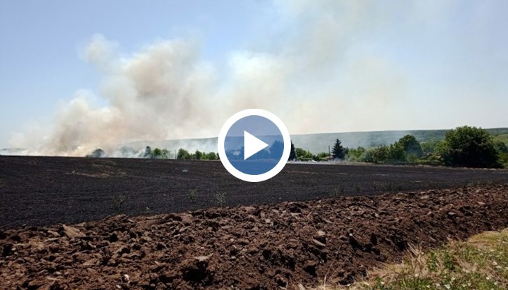 Пламъците са се разпространили на площ от около 100 дка