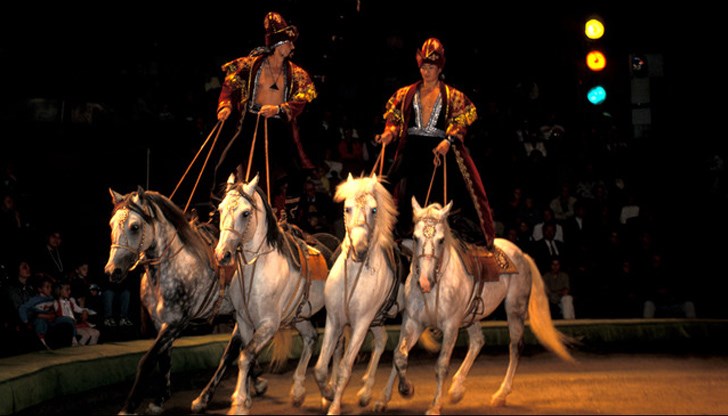 Цирковият фестивал е уникално културно събитие, където си дават среща различни школи, артисти и течения