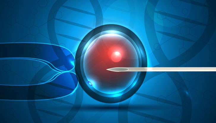 Разпоредбите са били оспорени от лекарка, на която е отказано инвитро, тъй като е навършила възрастта Разпоредбите са били оспорени от лекарка, на която е отказано инвитро, тъй като е навършила възрастта