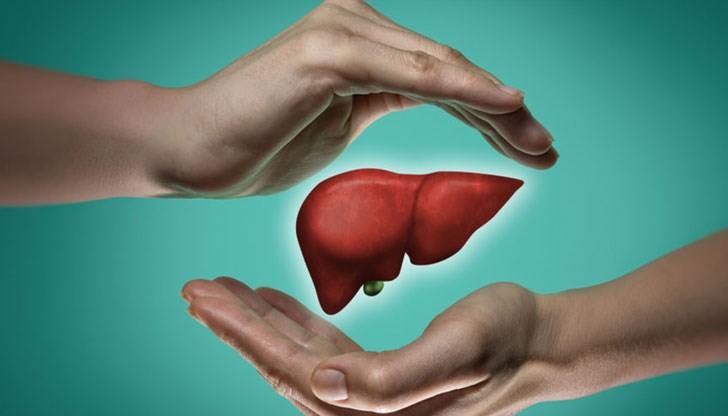 Те трябва да съдържат антиоксиданти, пектин или омега-3 мастни киселини