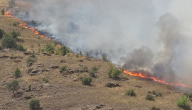 Напълно унищожена е и 500 декара общинска гора Напълно унищожена е и 500 декара общинска гора