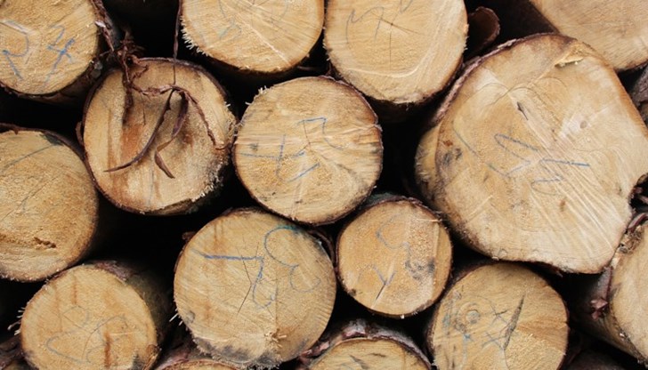 Само за месец кубикът скочи с 20 лева. Тон дърва вече струва 280 лева
