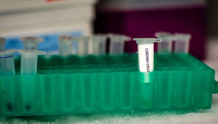 24,2% от тестваните са дали положителен резултат 24,2% от тестваните са дали положителен резултат