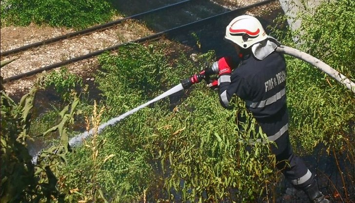 Служители от близките заведения започнали с подръчни средства да гасят пламъците