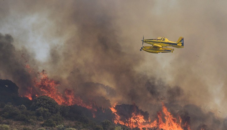 През първите седем месеца на 2022 г. огнени стихии са унищожили над 197 000 хектара гори