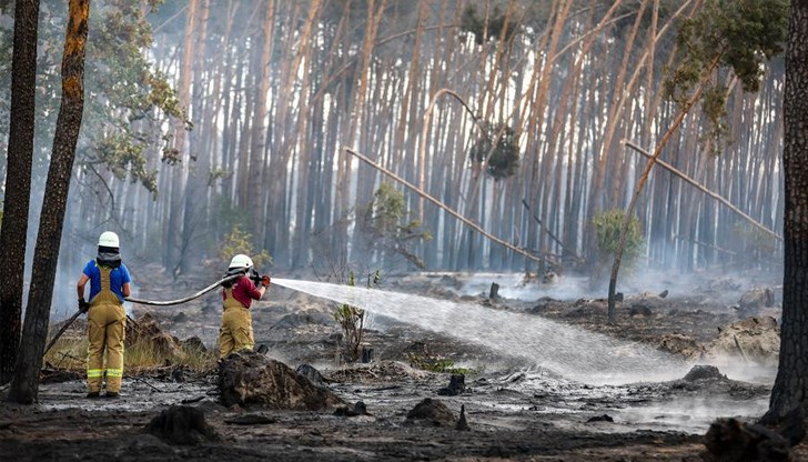 Пожарът вече се е разпространил на площ от 850 хектара Пожарът вече се е разпространил на площ от 850 хектара