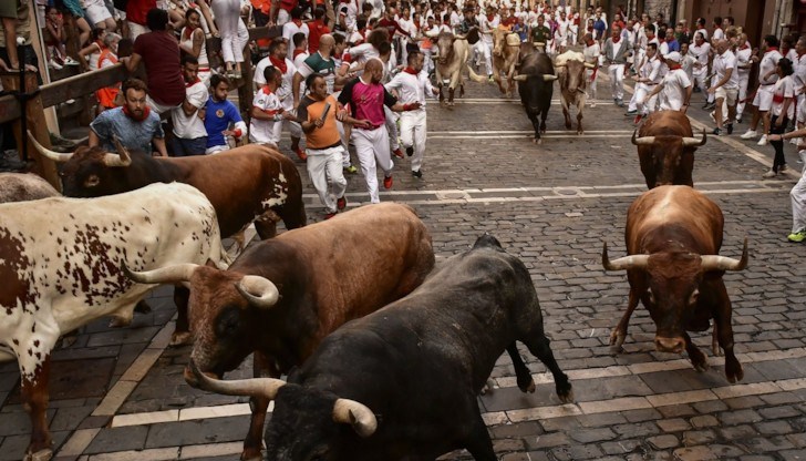 40 души бяха ранени на фестивал с корида в Испания