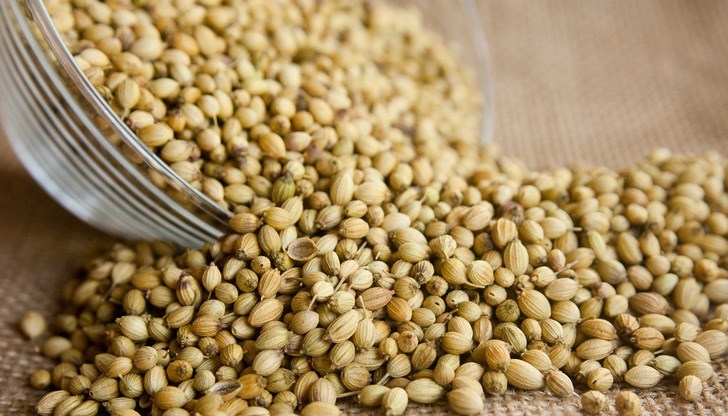 Тази подправка е намерена в гробниците на египетските фараони Тази подправка е намерена в гробниците на египетските фараони