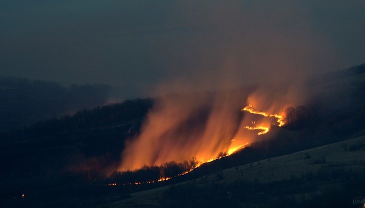 Пламъците обхванаха около 1000 декара сухи треви, пасища и лесонепригодни площи