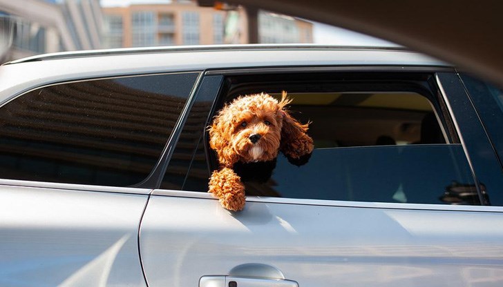 Само любовта не е достатъчна Само любовта не е достатъчна