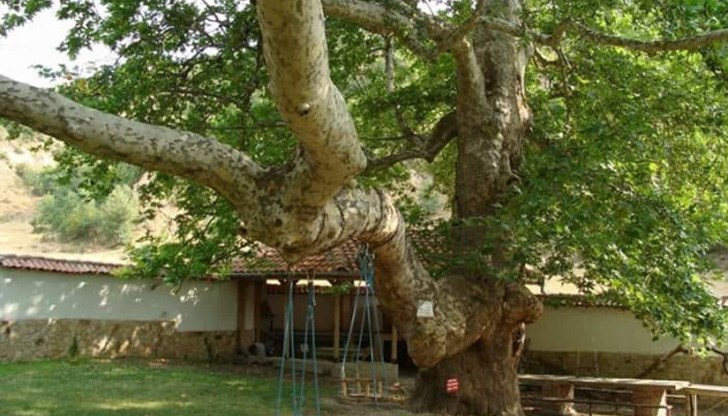 Има някои места у нас, които са известни и извън пределите на страната ни