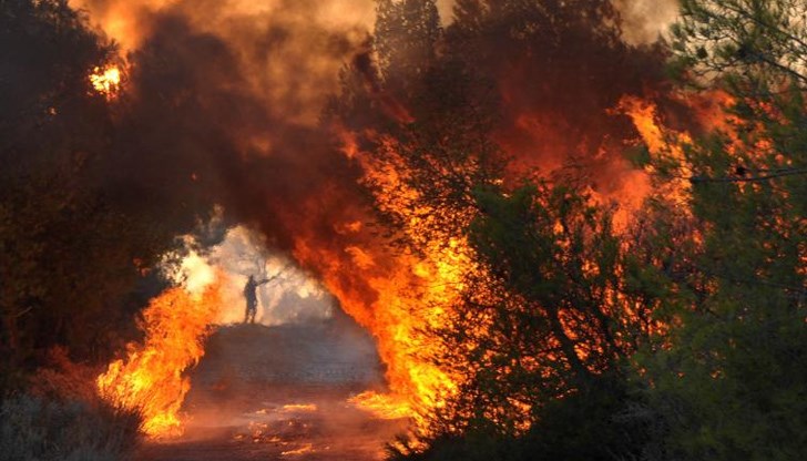 Прокуратурата разследва сигнали за умишлени палежи Прокуратурата разследва сигнали за умишлени палежи
