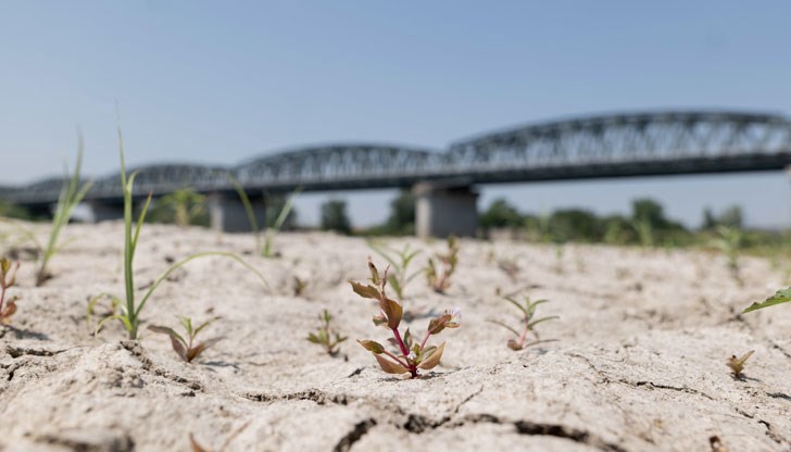 Само за ден са били регистрирани 100 пожара на територията на област Лацио