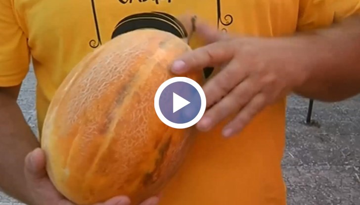 Празник на пъпеша в Българево