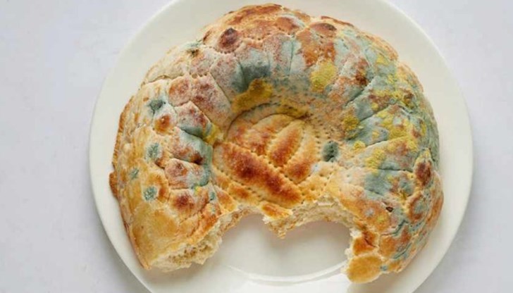 Всъщност мухълът не представлява опасност сам по себе си, но опасни са бактериите, развиващи се в него Всъщност мухълът не представлява опасност сам по себе си, но опасни са бактериите, развиващи се в него