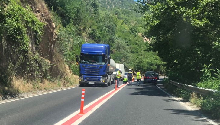 Предстои да бъдат поставени еластични огради, камери и мрежи за животни Предстои да бъдат поставени еластични огради, камери и мрежи за животни