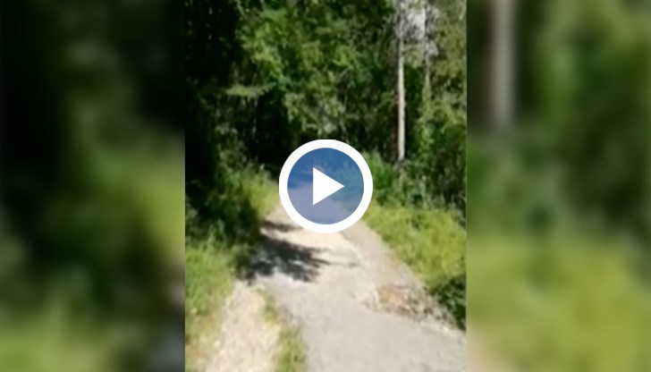 Районът ще бъде обследван от експерти