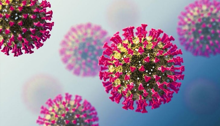 Едва една трета от случаите влизат в официалната статистика Едва една трета от случаите влизат в официалната статистика