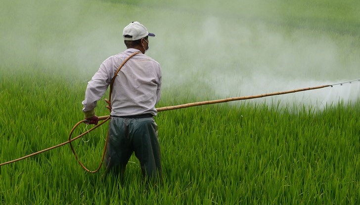 Според експертите пестицидите могат да доведат до неприятни последици за здравето