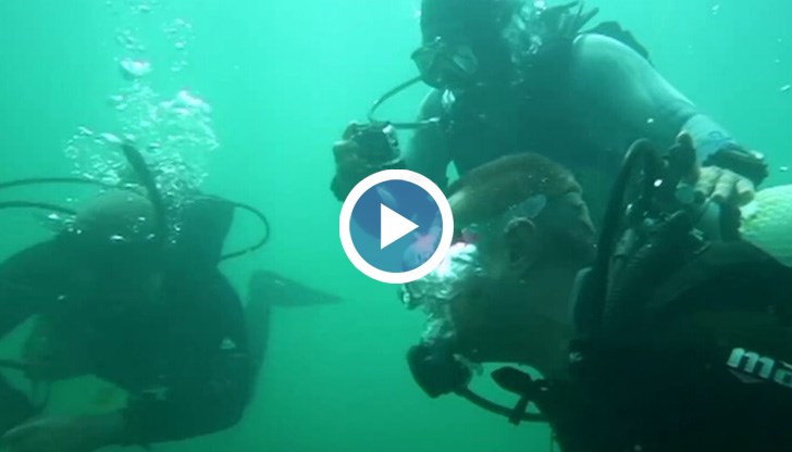 За първи път нашите учени ще пътуват със собствен кораб от Варна до остров Ливингстън