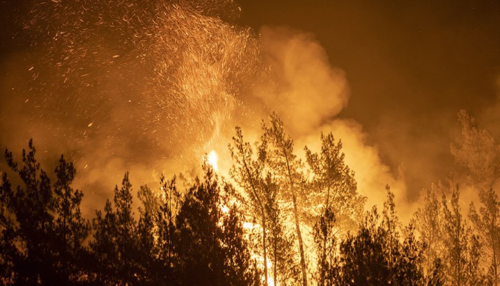 подобни пожари опустошиха 140 000 хектара площи миналата година
