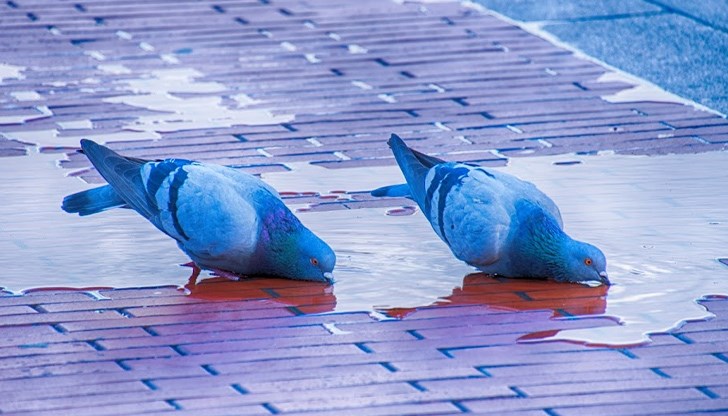 В неделя ще е по-топло с градус-два