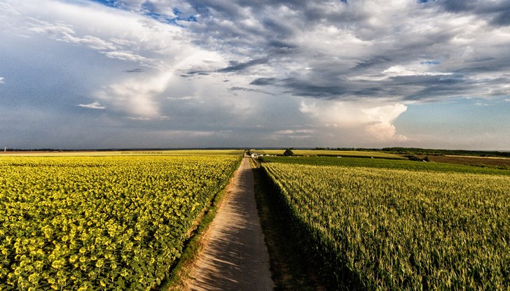 За Русе максималната температура ще стигне 31° За Русе максималната температура ще стигне 31°