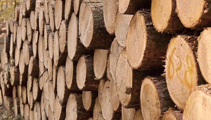 Цените на дървата за огрев са в голям диапазон - от 90 до 250 лева