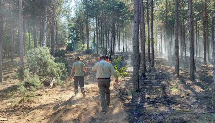 Към момента той е овладян и локализиран