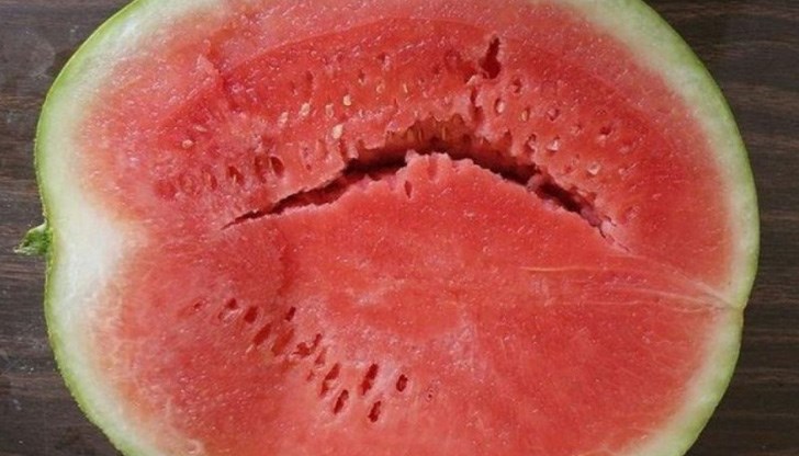 Дините вече узряха и могат да се намерят по българските