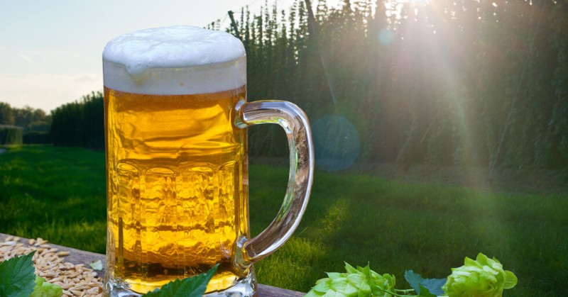 Според проф. Борис Богов бъбреците страдат главно от обезводняване през