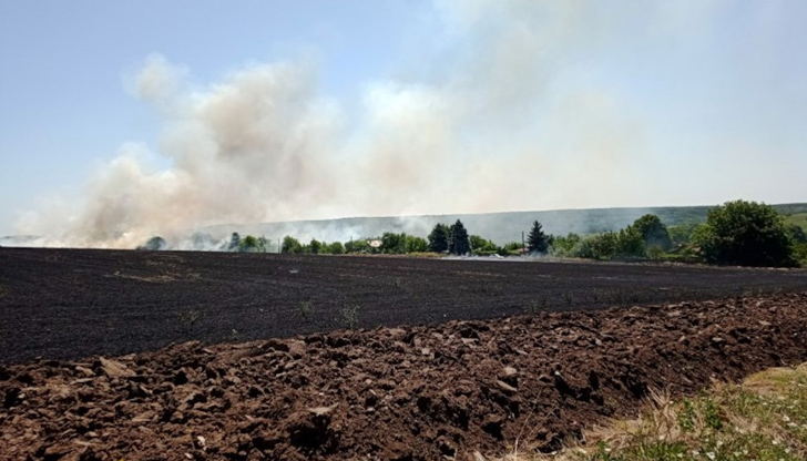 Пламъците са се разпространили на площ от около 100 дкаВилната