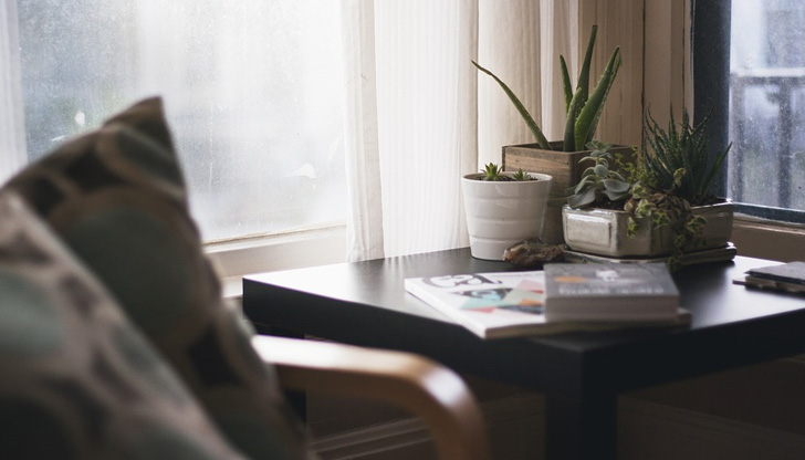 Ако направите това, цветята ви ще издържат две седмици без