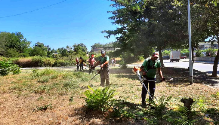 Седмичен отчет за дейността на общинска администрация - Русе за