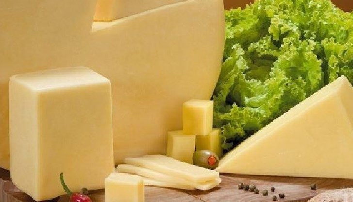 За да разберем полезен ли е кашкавалът или не, то