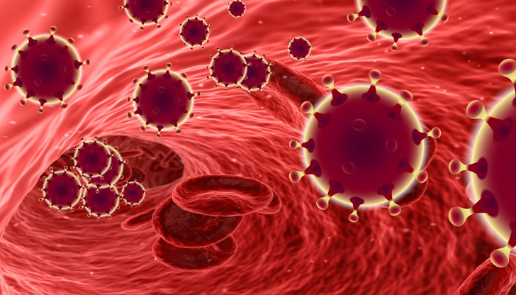 Положителните са 31% от пробите2987 нови случая на коронавирус са