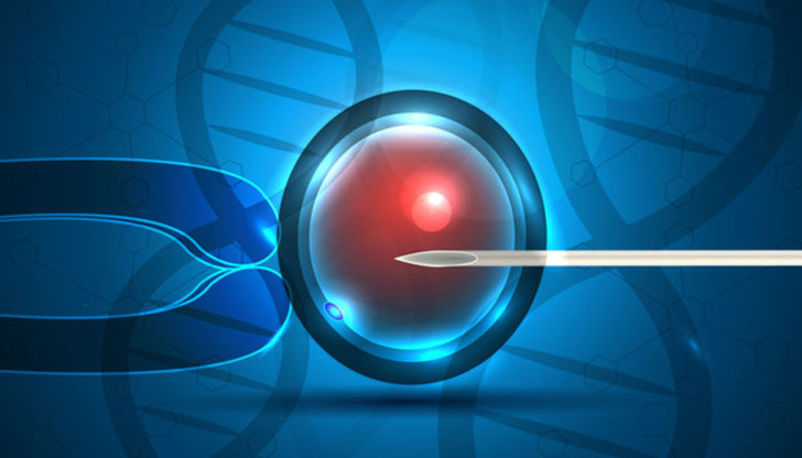 Разпоредбите са били оспорени от лекарка, на която е отказано