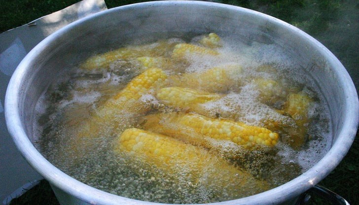 Царевицата е много вкусна и хранителна и е подходяща както