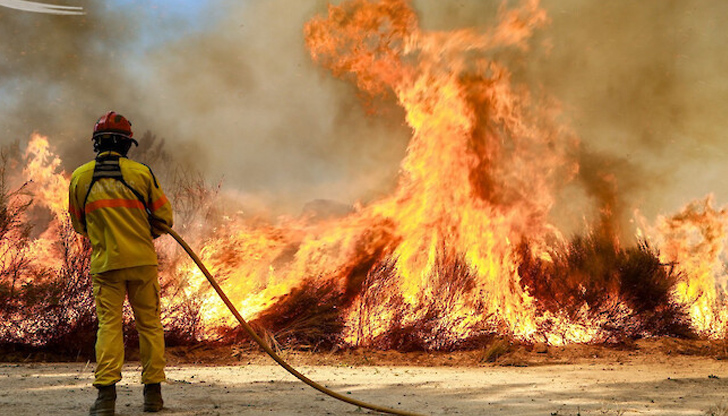 В петък и събота пламнаха общо 250 пожараОколо 1500 пожарникари