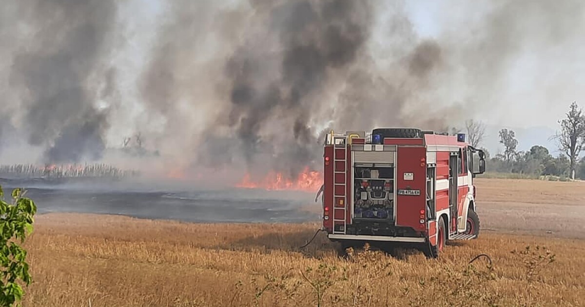 Пожарникарите в Сливен ще наградят 8-годишно момчеТой е оказал помощ